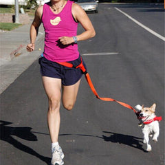 Hands Free Dog Walking Leash
