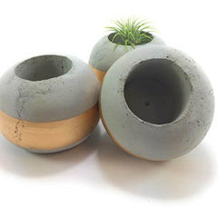 3 Pieces Concrete Succulent Planters
