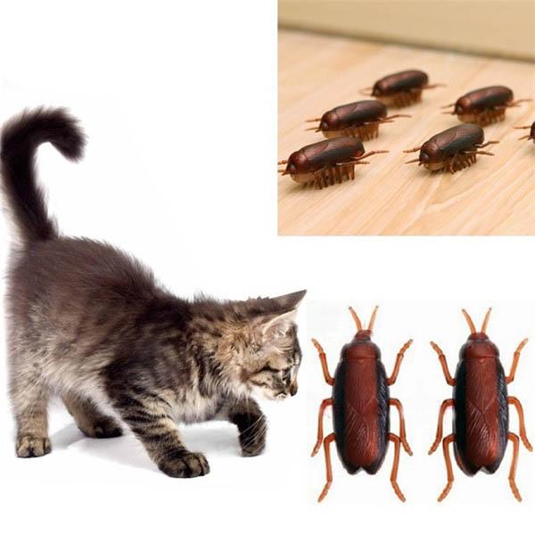 Electronic Cockroach Cat Toy