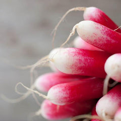 French Breakfast Radish (300 seeds)