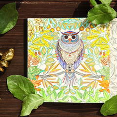 Clearance Stress Relieve Adult Coloring Book